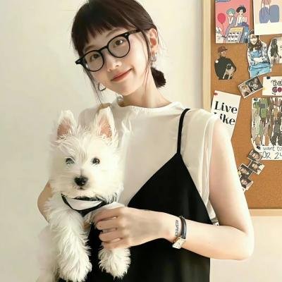 杜宾巡官：布列塔尼的呼唤